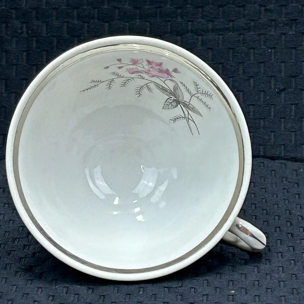 Karolina Poland China Teacup Pink Floral‎ Silver Trim Vintage Porcelain 3879 7